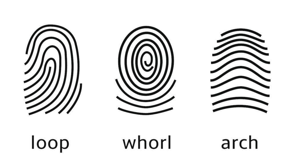 Experiment Are Fingerprint Patterns Inherited