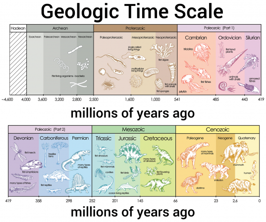 2000_time_scale.png