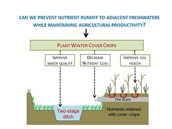 Ditching farm pollution — literally