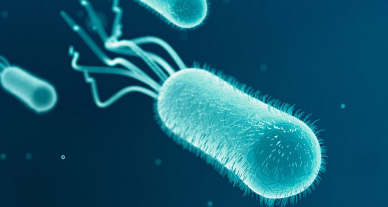 Bacteria Help Water Effortlessly Go With The Flow   860 Swimming Bac Header IStock 000022122825 Medium 800x428 