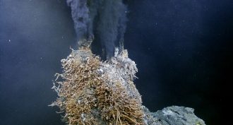 Sea creatures' fishy scent protects them from deep-sea high pressures