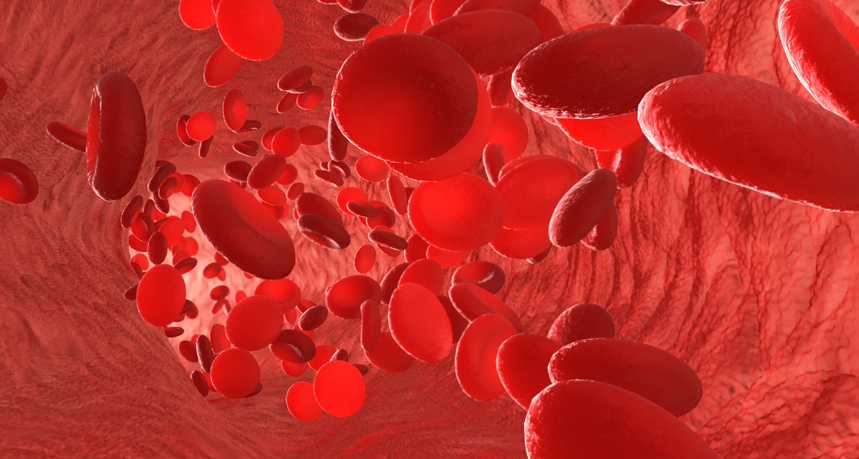 https://www.snexplores.org/wp-content/uploads/2019/11/860_blood_cells.png