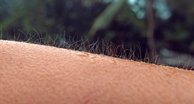 Goose bumps may have hairy benefits