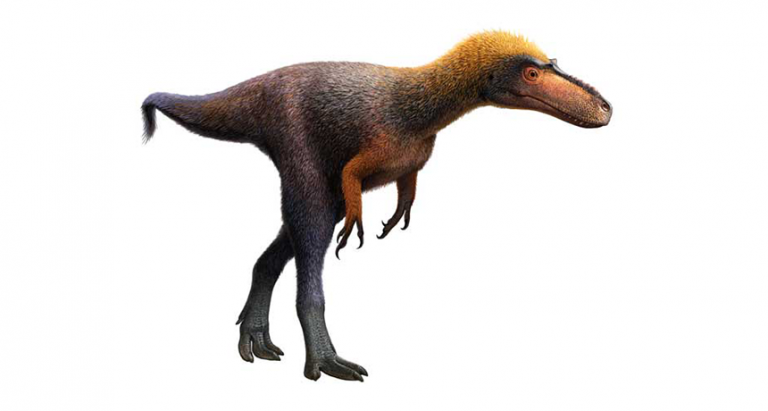 This Tiny Dinosaur Is Officially T. Rex’s Cousin