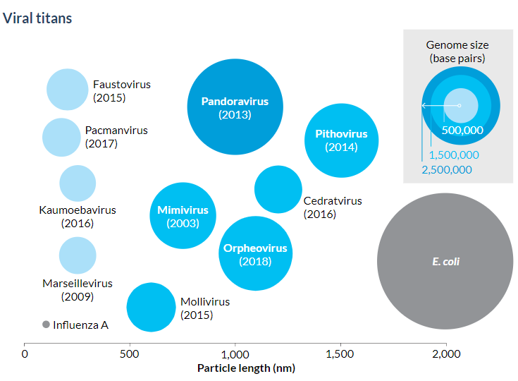 Analyze This: These viruses are behemoths