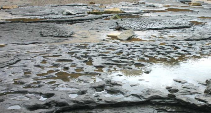 Ancient footprints surface in Britain