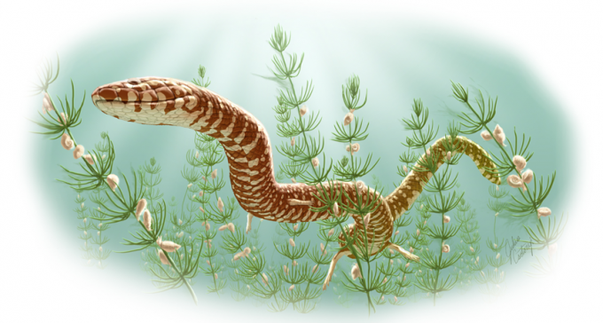 Snakes May Have Slithered Amongst Jurassic Dinos