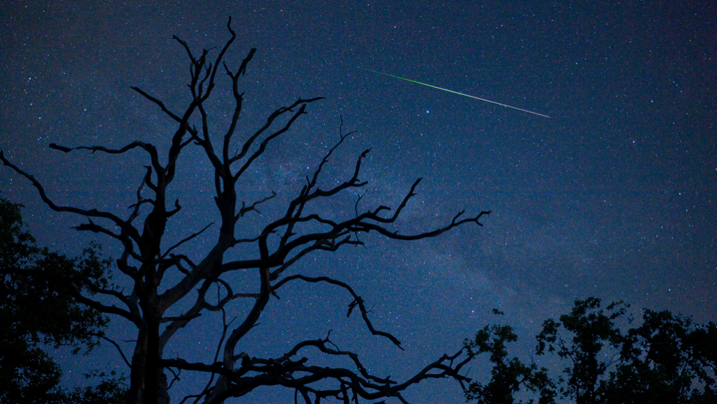 Explainer: Understanding meteors and meteor showers