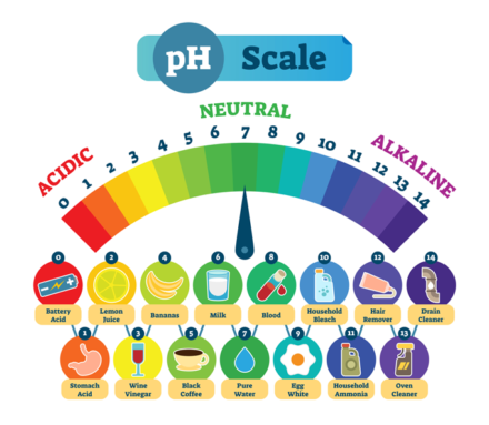 Explainer: What the pH scale tells us