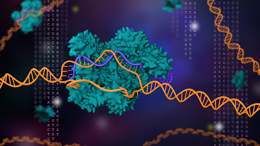 2020 chemistry Nobel goes for CRISPR, the geneediting tool