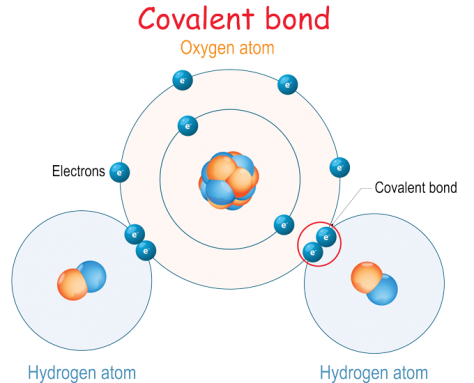 Explainer: What are chemical bonds?