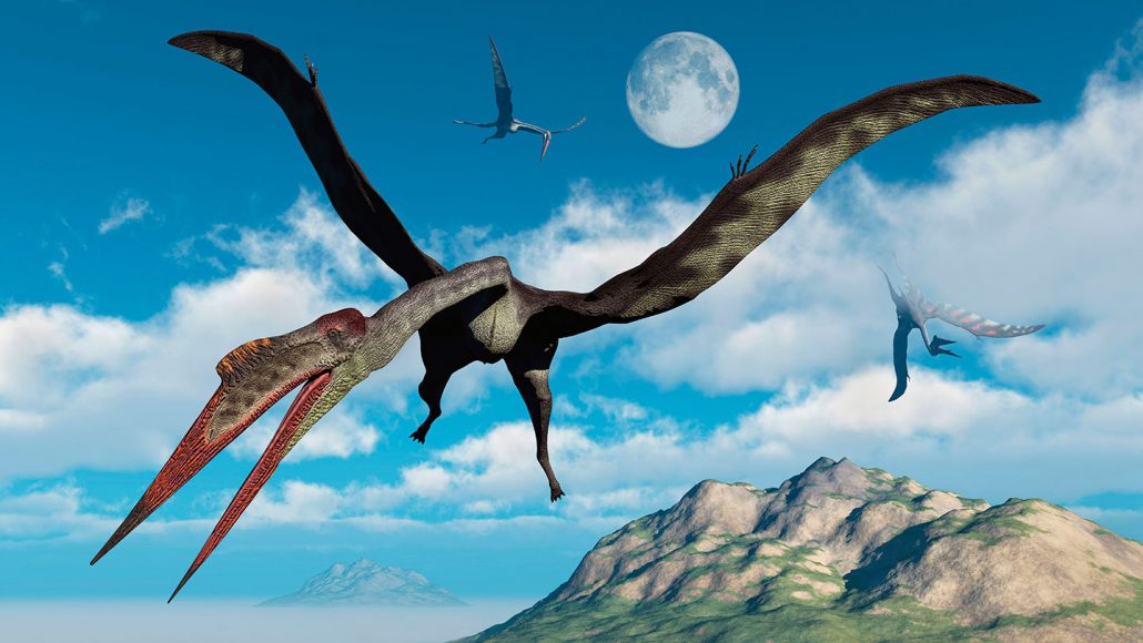 Hundreds of pterosaur eggs help reveal the early life of flying reptiles