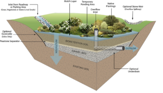 Stores and malls buy into ponds and rain gardens for flood control