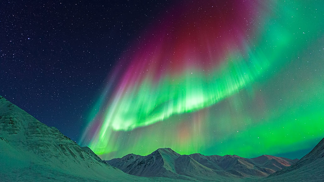 Aurora Moon, Very cold but very amazing. An intense display…