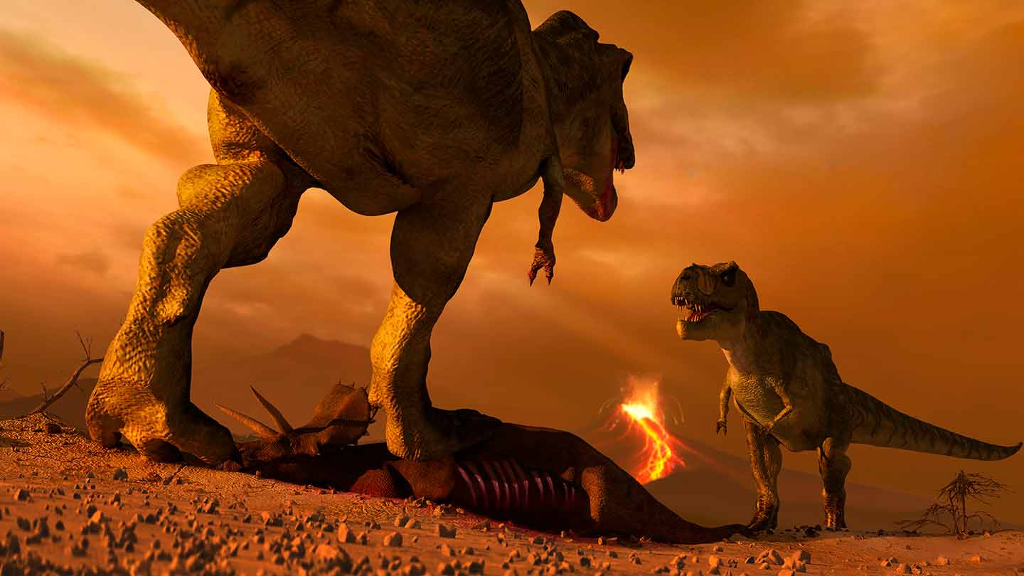 What Was on the T. Rex Menu? Sometimes Each Other
