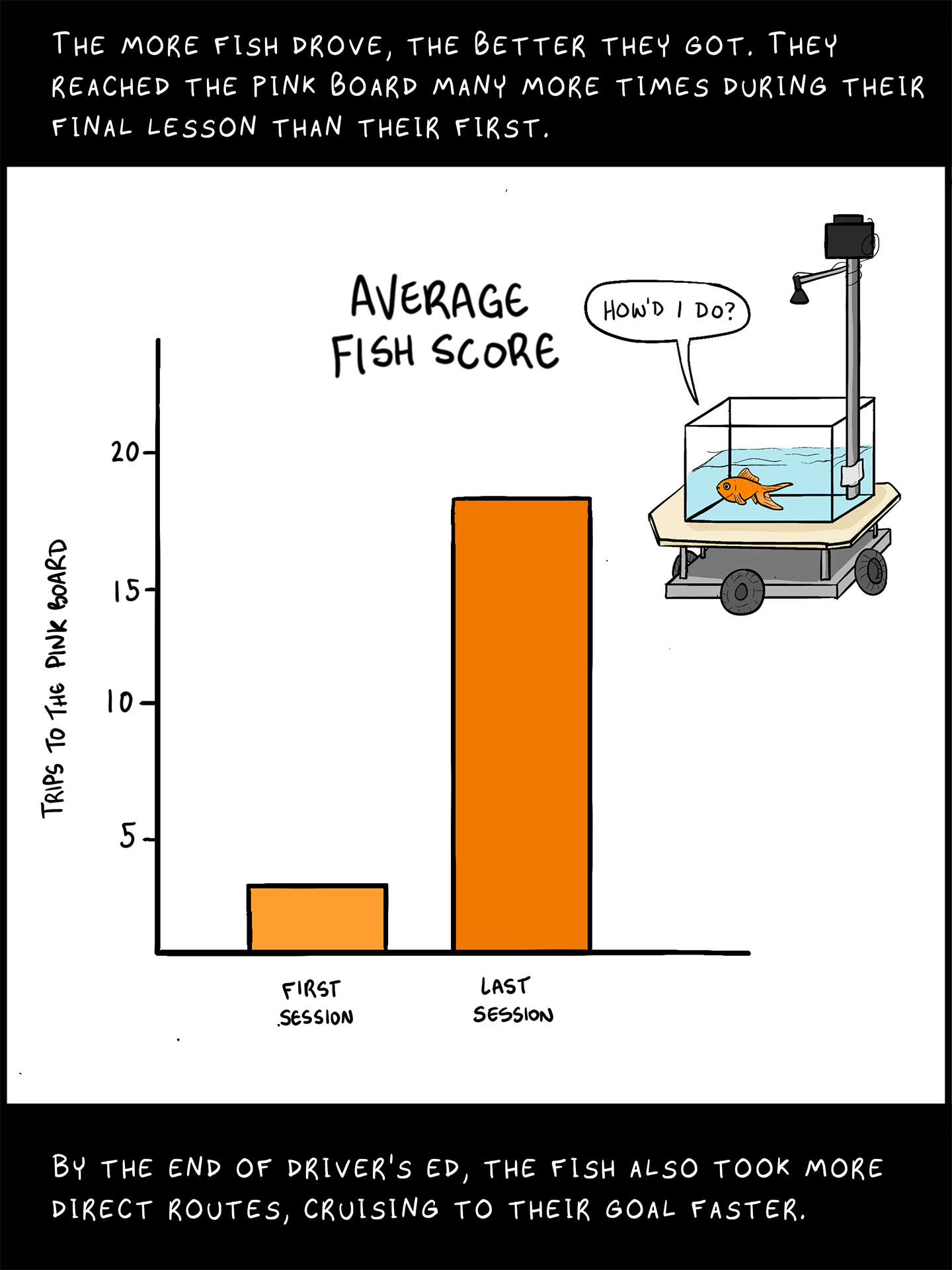 Goldfish Driving ‘cars Offer New Insight Into Navigation