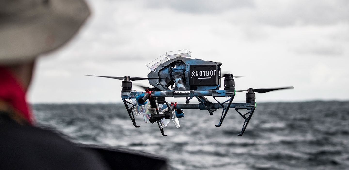 Fish farmers turn to drones for health, feed monitoring