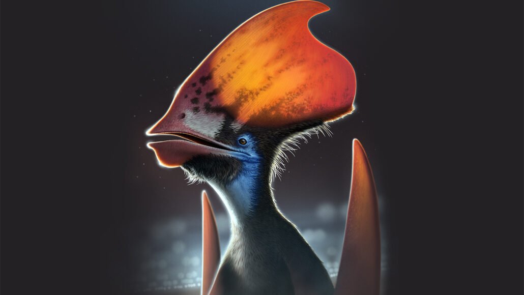 https://www.snexplores.org/wp-content/uploads/2022/04/042622_cg_pterosaur-feathers_feat-1030x580.jpg