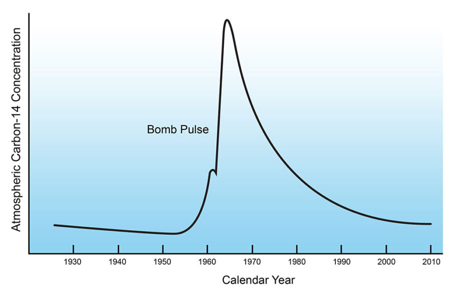 Fossil Fuel Use Is Confusing Some Carbon Dating Measurements   1030 Radio C Dating Carbon14 Figure 901x580 