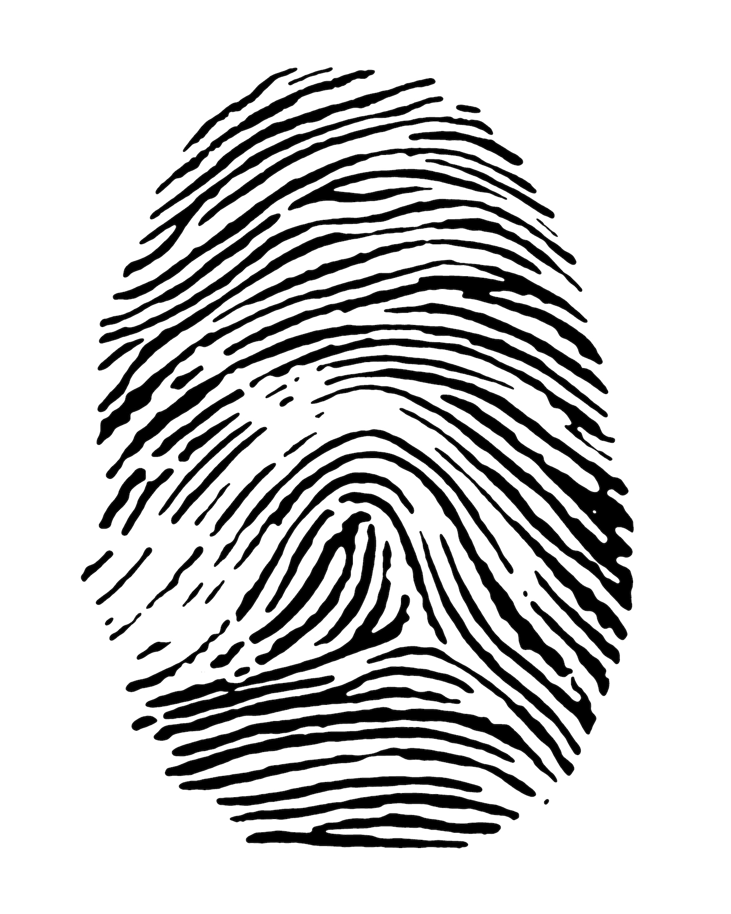 Experiment Are fingerprint patterns inherited?