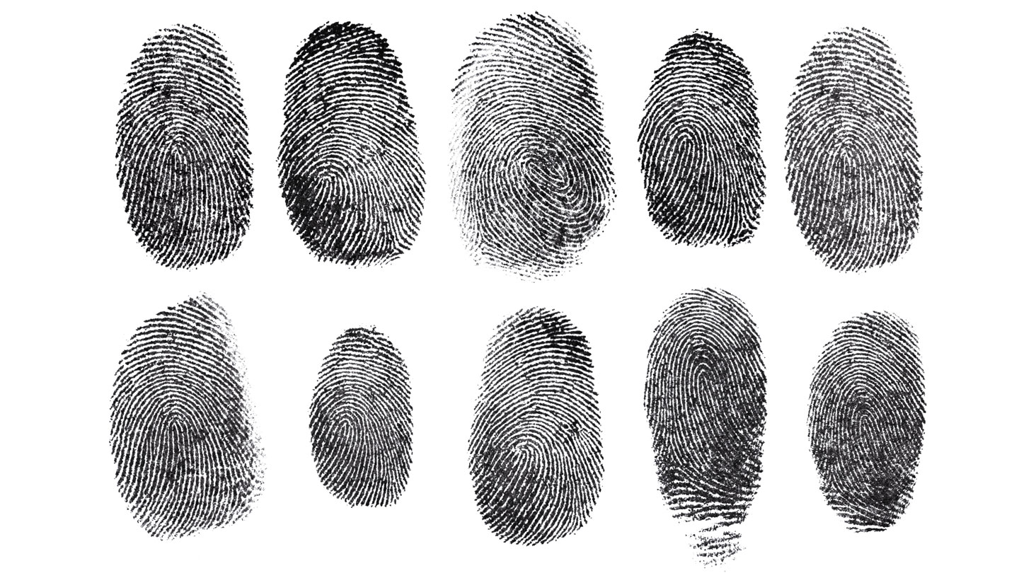 experiment-are-fingerprint-patterns-inherited