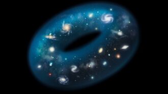 An illustration shows a doughnut shape filled with galaxies