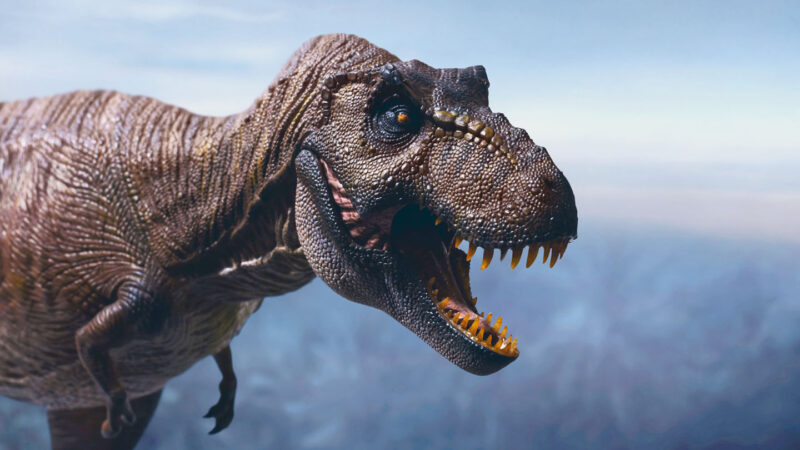 Just how brainy was a T. rex?