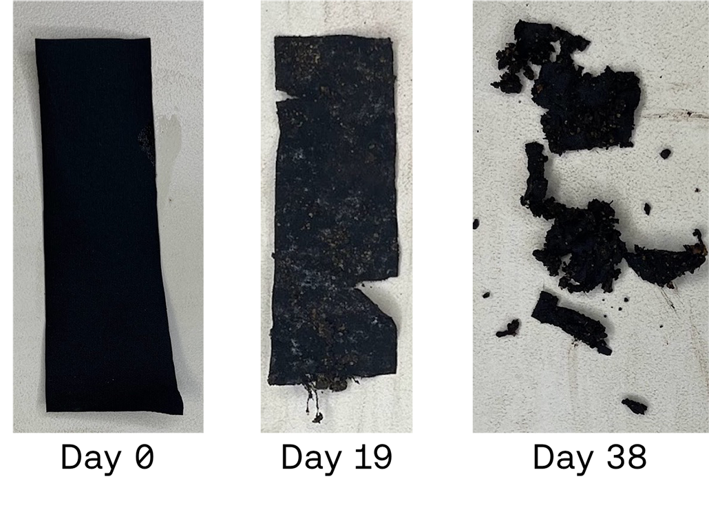 fabric coated in biodegradable plastic after 0, 19 , and 38 days