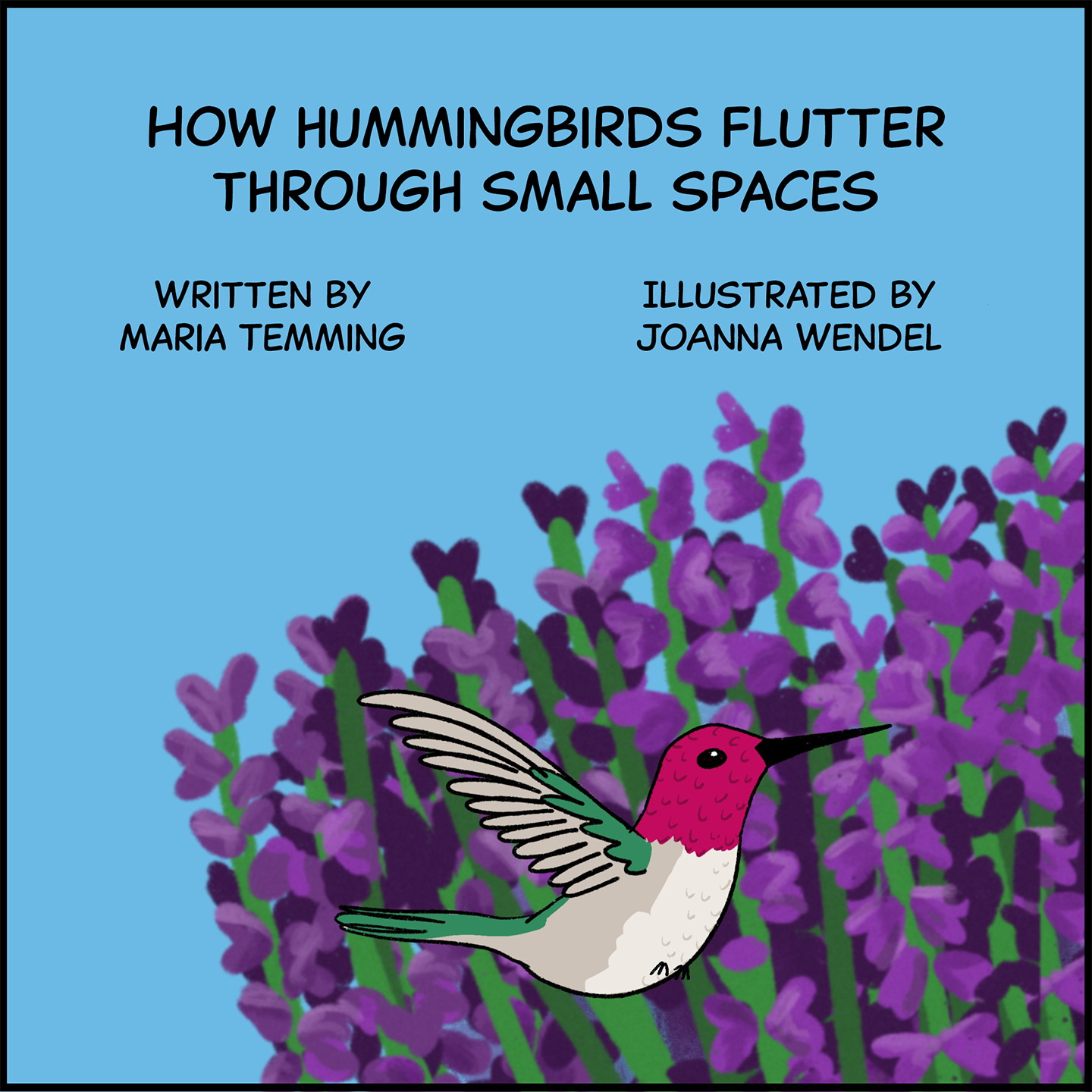 How hummingbirds flutter through small spaces. Written by Maria Temming. Illustrated by JoAnna Wendel. Image: A hummingbird with a magenta head, white body and some green on its wings and tail flies past a field of purple lavender flowers under a blue sky. 