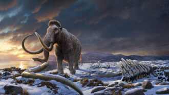 An illustration of a mammoth standing on snowy land <a href=