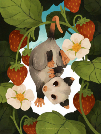 an illustration of a very teeny very cute baby possum hanging by it's tail from a strawberry stalk - strawberries and strawberry bloom frame the possum