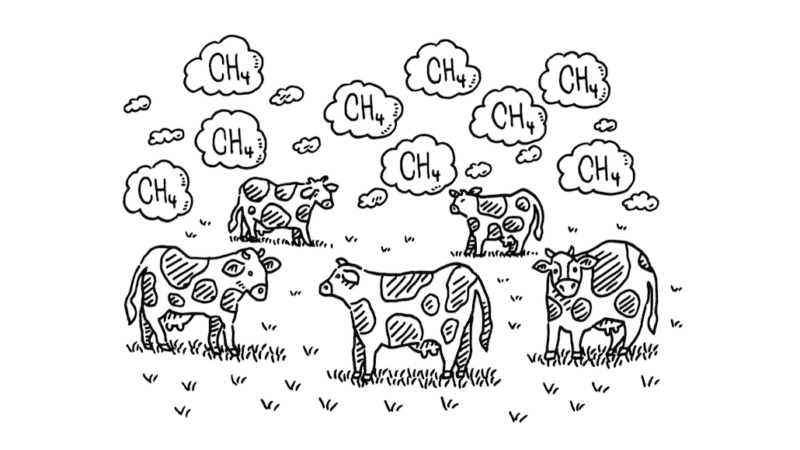 Scientists Say: Methane