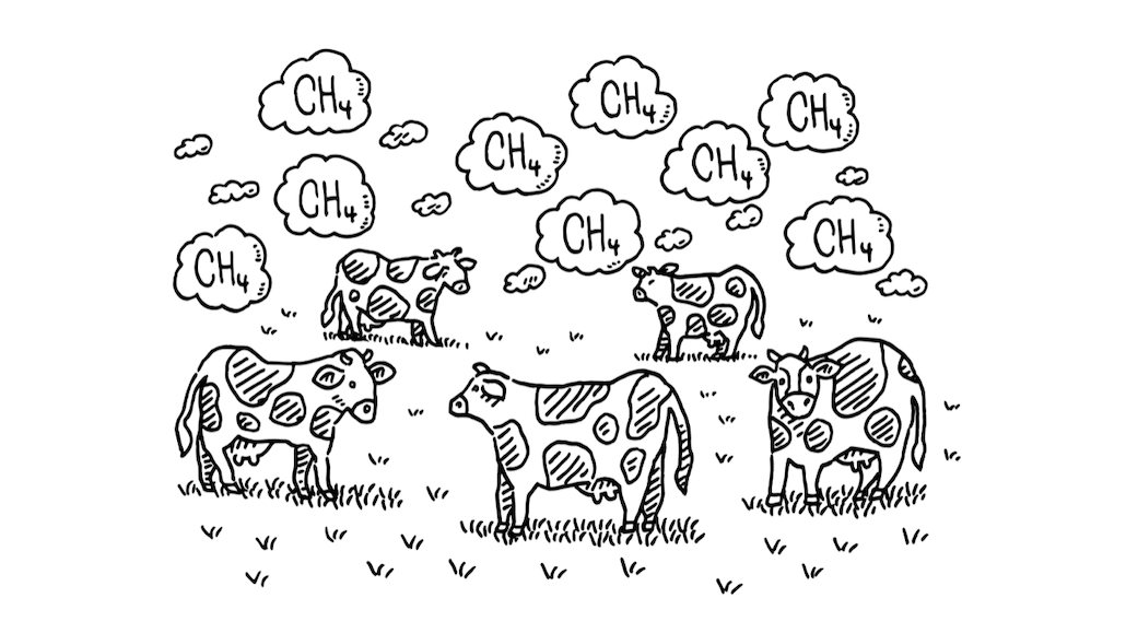 a cartoon shows a field of cows with puffs of clouds labeled (CH4) floating above their heads