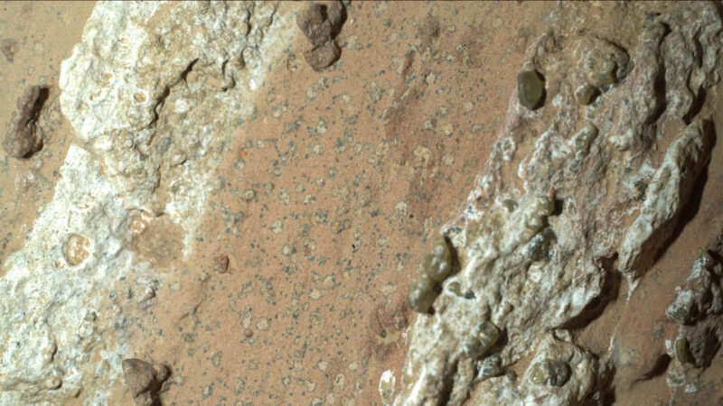 ‘Percy’, NASA’s rover, finds its first hint of ancient life on Mars