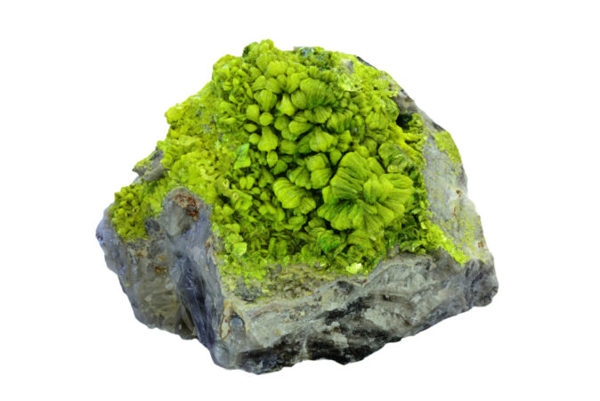 Lime green autunite covers a gray rock. It's crystals resemble the pages of a book.