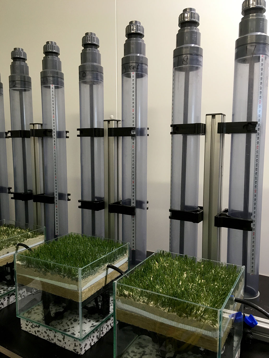 A lab setup with small sections of turf attached to chambers to measure evaporation