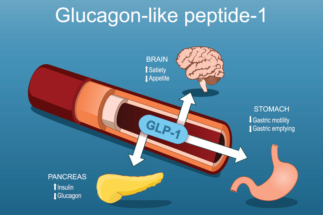 a diagram swhowing how Wegovy mimics the actions of the GLP-1 hormone, signalling the brain, stomach and pancreas