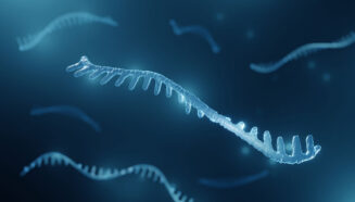 an illustration of microRNA, a blue strand of genetic material resembling a wavy comb