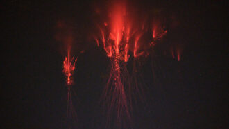 a photo of a trio of red sprites