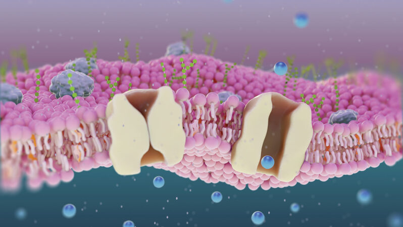 Explainer: How cells use chemistry to make the electricity of life