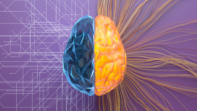 an illustration of the idea of the left brain being analytical (more angles and a circuitboard type network branching out) and right brain being more creative (vibrant and a network of colored strings)