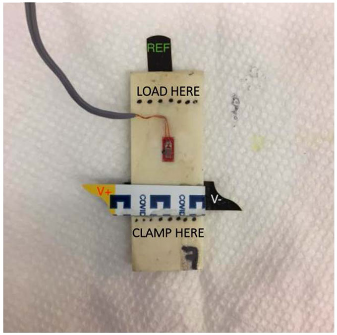 a small rectangular slice of bone on a paper towel, there is a strain guage and tiny electrodes attached to it