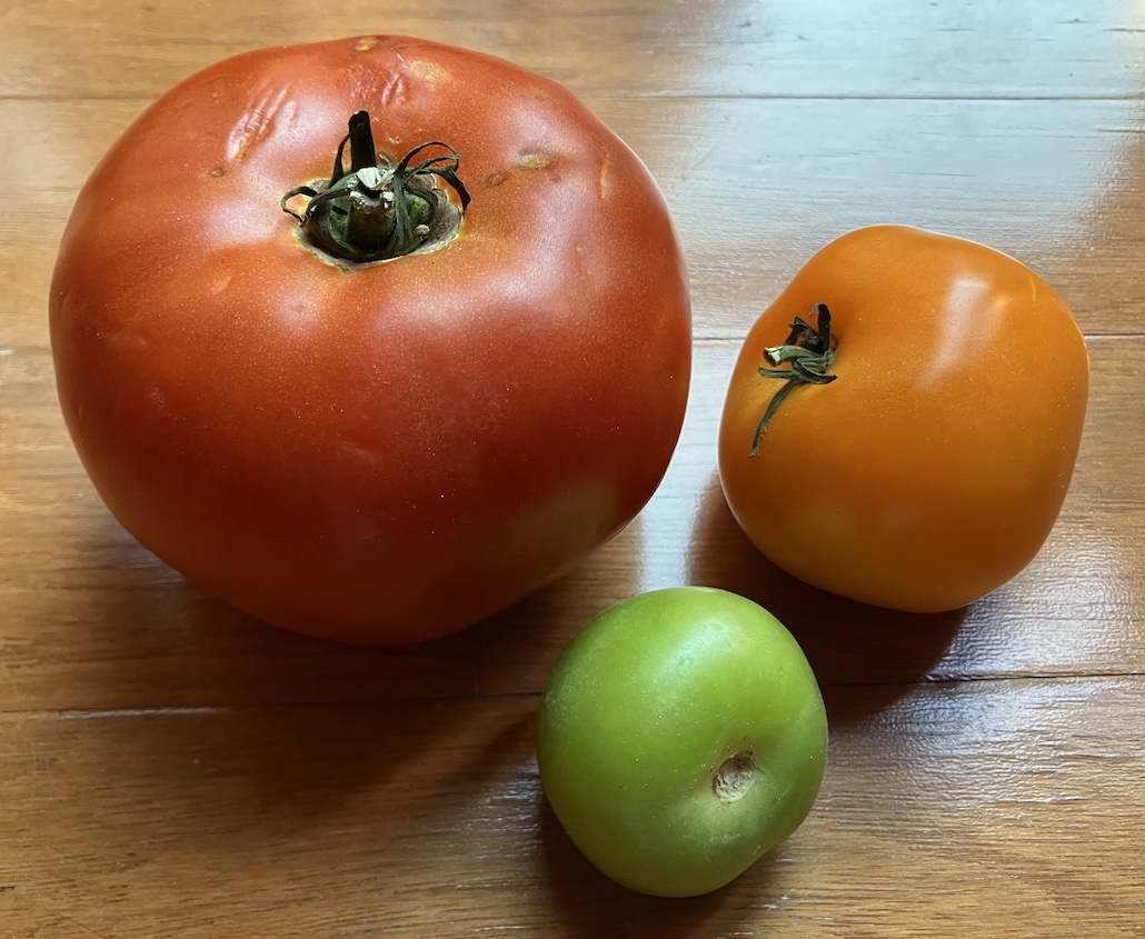 three tomatoes of different sizes