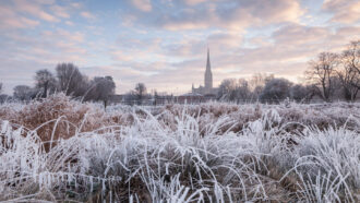 Frost-covered grasses fill the ftont of a landscape with a building silhouette and dramatic clouds in the background.