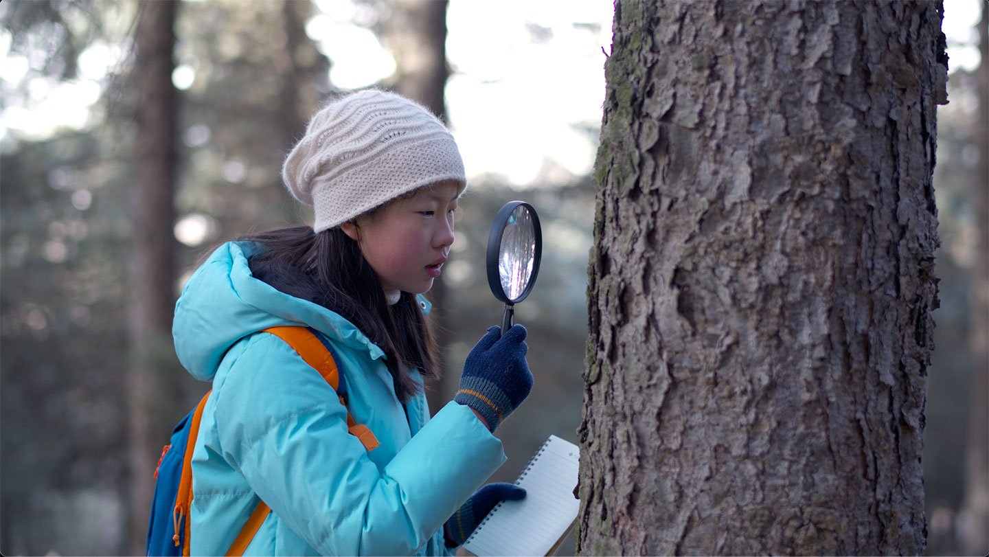 a young girl examining the trunk of a tree with a magnifying glass