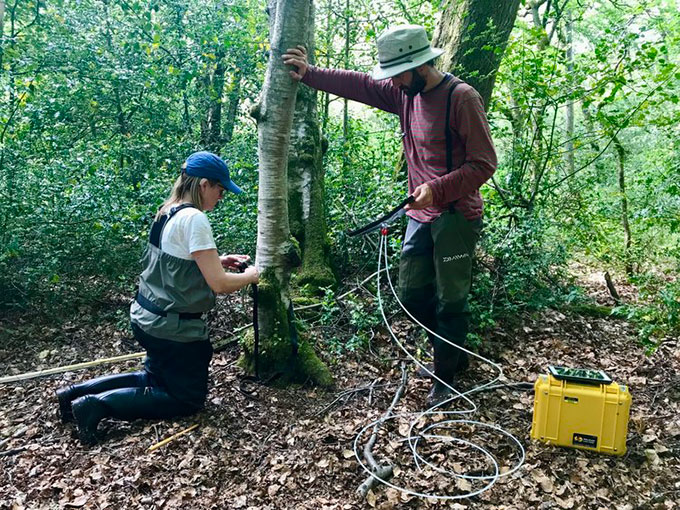 a male and femail researcher standing and sitting next to a tree trunk in a forest, they are installing a monitoring apparatus on the tree