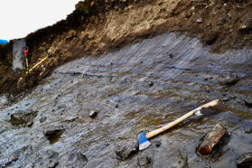 An exposed patch of gray, layered glacier ice is exposed in a brown, earthen headwall.