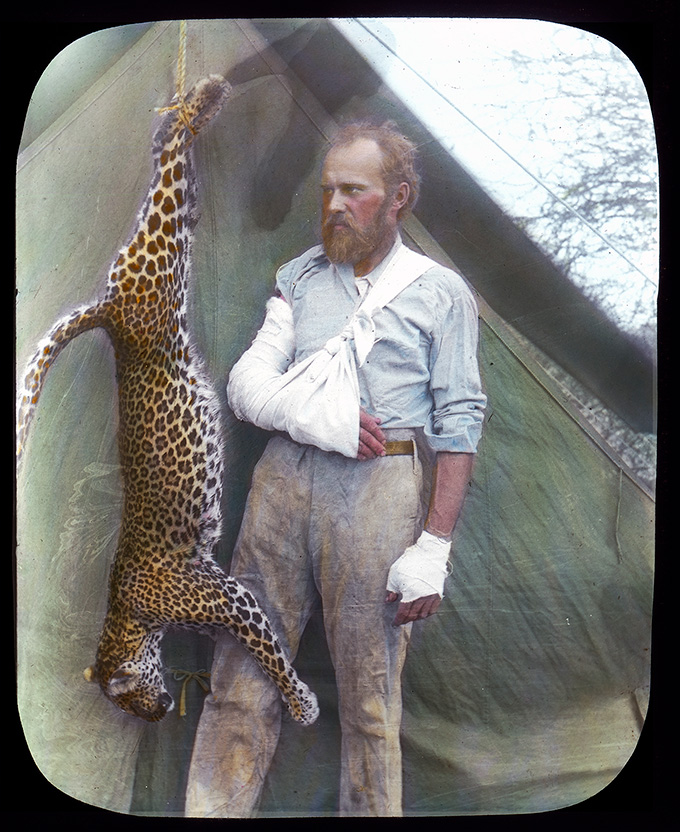 1896 photograph of taxidermist and big-game hunter Carl Akeley posing in profile beside a dead leopard hung upside-down by its back legs. Akeley has his right arm in a sling and his left hand is bandaged. His mussed hair, beard and soiled pants give the impression of a hardened outdoorsman.