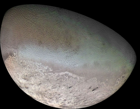 an image showing the bottom half of Triton, a moon of Neptune, the surface texture looks almost like the outside of a canteloupe. The moon's pole at the bootom of the image shows mottled white and grey features.