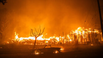 orange flames of a wildfire engulf the remains of a building and car